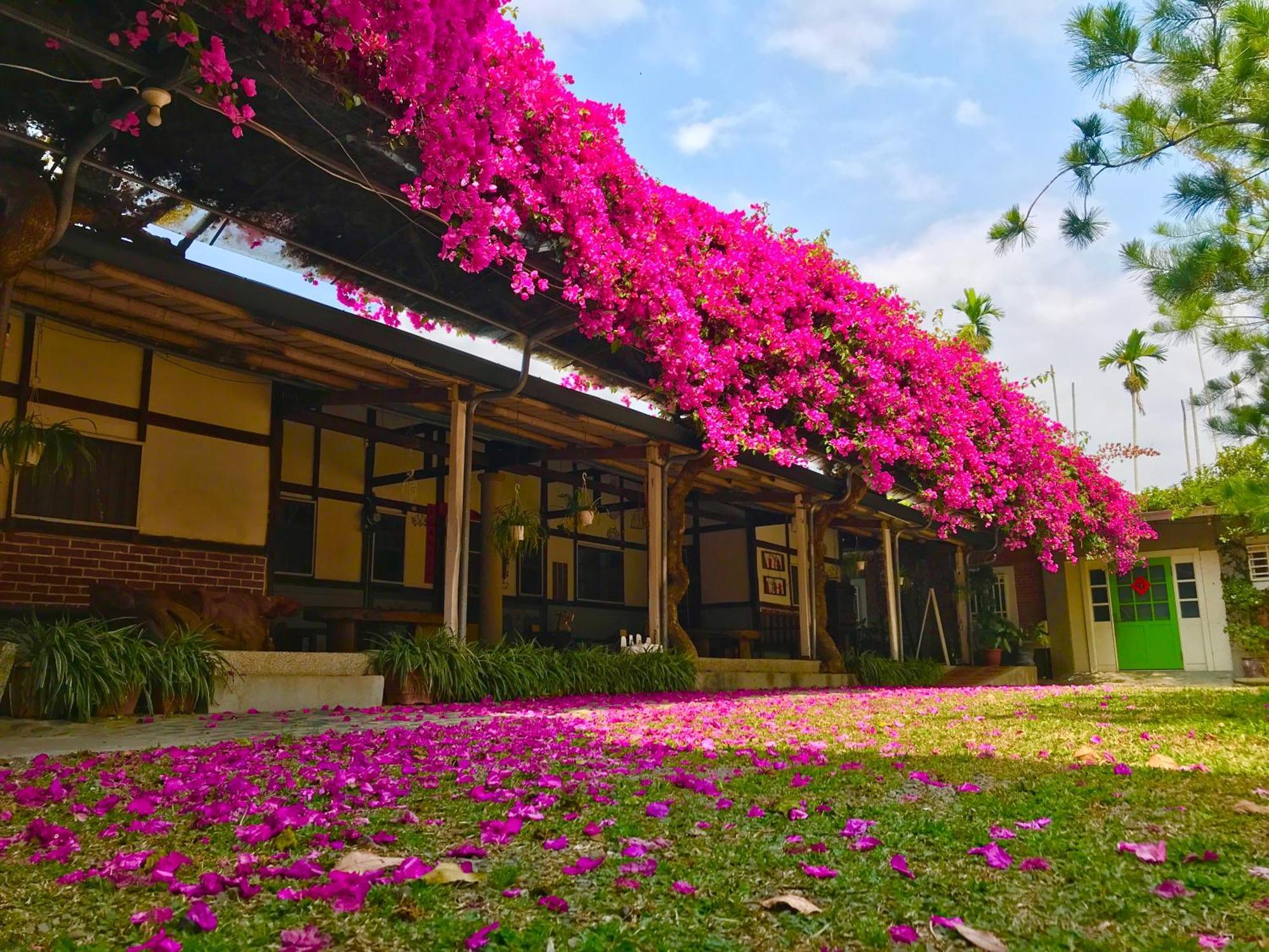 嘉義竹崎白樹腳驛棧萬坪生態包棟烤肉親子民宿 Fujin Exterior foto