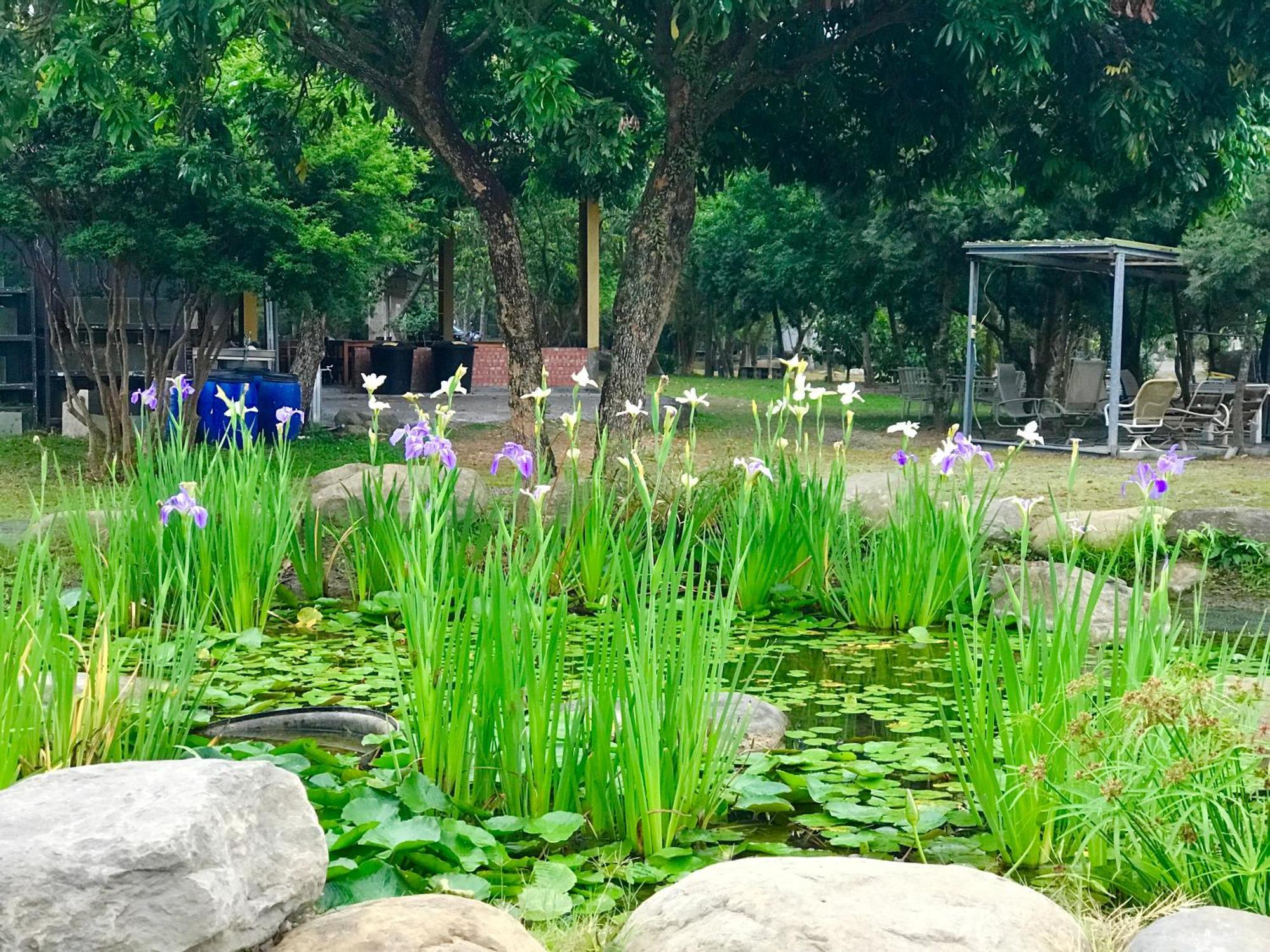 嘉義竹崎白樹腳驛棧萬坪生態包棟烤肉親子民宿 Fujin Exterior foto