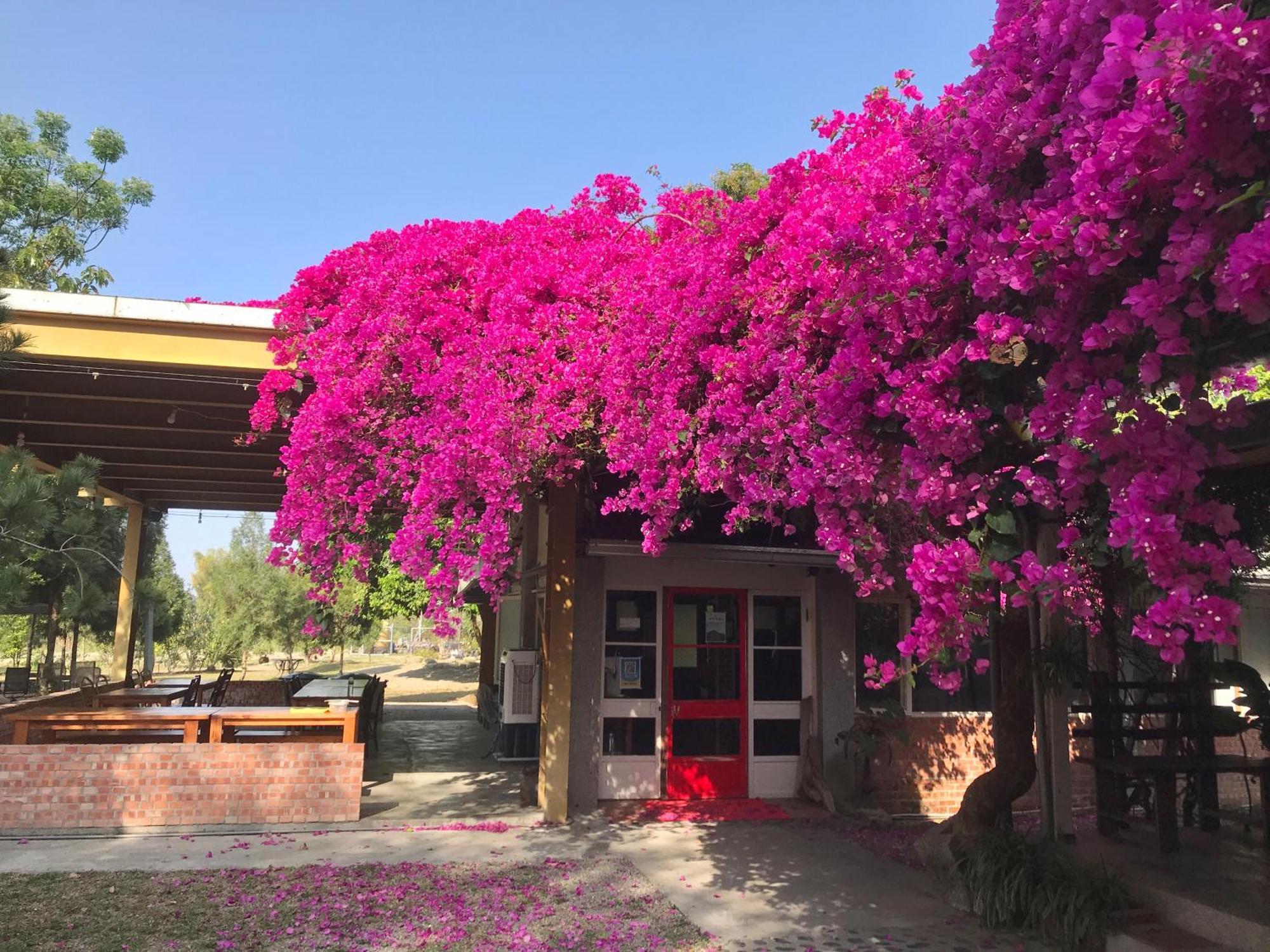 嘉義竹崎白樹腳驛棧萬坪生態包棟烤肉親子民宿 Fujin Exterior foto